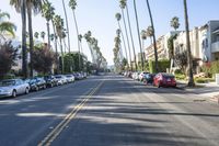 Residential Lane in California: A Suburban Scene