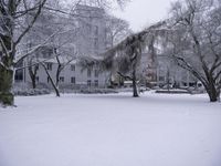 a snow covered field in front of buildings with trees and benches in it in the middle of town