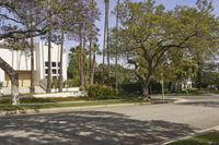 this is an empty street surrounded by many trees and bushes on a sunny day with some people on the sidewalk