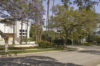 this is an empty street surrounded by many trees and bushes on a sunny day with some people on the sidewalk