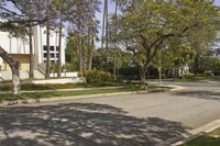 this is an empty street surrounded by many trees and bushes on a sunny day with some people on the sidewalk