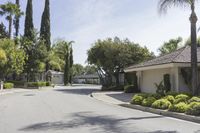 a residential neighborhood with residential architecture and palm trees in the middle of the street on a sunny day