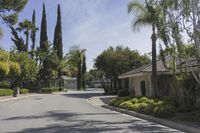 a residential neighborhood with residential architecture and palm trees in the middle of the street on a sunny day