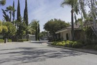 a residential neighborhood with residential architecture and palm trees in the middle of the street on a sunny day