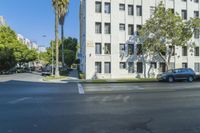 cars on city streets next to two buildings and palm trees in the background - shuttered image