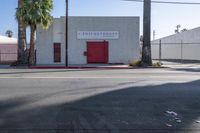 a fire hydrant in front of a small building near a road with palm trees