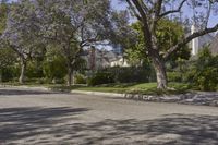 Explore a Residential Neighborhood in Los Angeles with Tree Branches