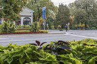 a woman walking across the street next to plants and trees along with a person on a bike behind her