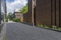 a brick street in the city with trees on the side of the building and a curb with brick pavers in between the buildings