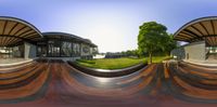 a half pipe that is outside near a tree in the daytime day time sky and trees