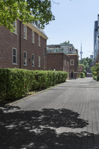 a brick paved walkway leads to a row of buildings next to some green hedges and bushes