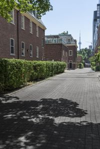 a brick paved walkway leads to a row of buildings next to some green hedges and bushes