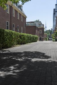 a brick paved walkway leads to a row of buildings next to some green hedges and bushes