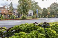 Residential Neighborhood in Toronto Suburb