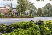 Residential Neighborhood in Toronto Suburb