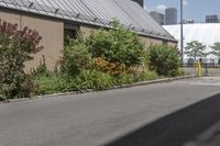 a person riding their bike down the side of a street next to a building in an urban area