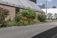 a person riding their bike down the side of a street next to a building in an urban area