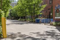 a bunch of plants on a side walk with a sidewalk area next to it and two bicycles parked on the street, in front of an area