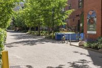 a bunch of plants on a side walk with a sidewalk area next to it and two bicycles parked on the street, in front of an area