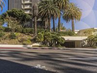 a long shadow on the street that shows cars driving in the street and palm trees