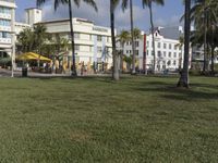 Residential Property on Miami Beach's Coastline