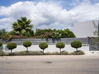 bushes are next to the road and a wall with potted trees in the front