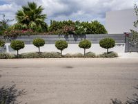 bushes are next to the road and a wall with potted trees in the front