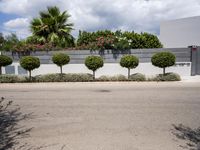 bushes are next to the road and a wall with potted trees in the front