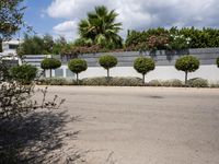 bushes are next to the road and a wall with potted trees in the front