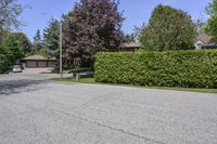 a very nice house next to a big big leafy tree lined drive way in the suburbs