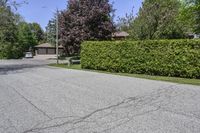 a very nice house next to a big big leafy tree lined drive way in the suburbs