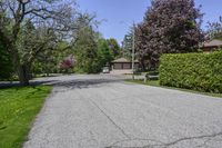 a very nice house next to a big big leafy tree lined drive way in the suburbs