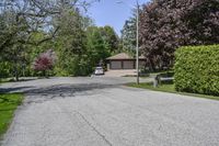 a very nice house next to a big big leafy tree lined drive way in the suburbs