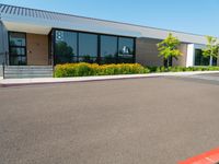 Residential Property with Tree and Asphalt Road