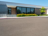 Residential Property with Tree and Asphalt Road