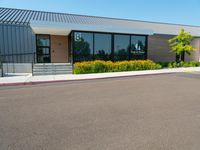 Residential Property with Tree and Asphalt Road