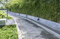 Residential Road in Thailand Under a Clear Sky