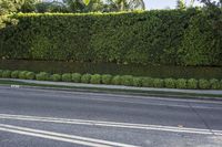 Residential Road in Los Angeles, California