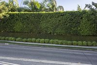 Residential Road in Los Angeles, California