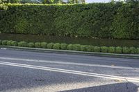 Residential Road in Los Angeles, California