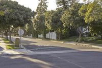 Residential Road in Los Angeles: A Suburban Neighborhood