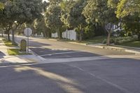 Residential Road in Los Angeles: A Suburban Neighborhood