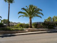 Residential Road in Mallorca: A European Landscape