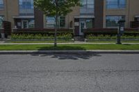 Residential Road in Ontario with Trees