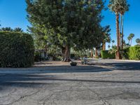 Residential Road in Palm Springs, California