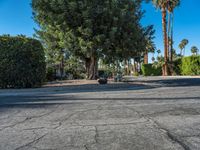 Residential Road in Palm Springs, California