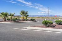 an empty residential road with a view of mountains and palm trees in the distance from between two parking spaces