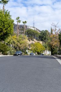 Residential Road in Town with Woody Plants 001