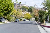 Residential Road in Town with Woody Plants