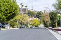 Residential Road in Town with Woody Plants